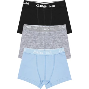 Erkek Çocuk Boxer 3'lü (%96 Pamuk - %4 Elastan)