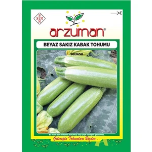 Beyaz Sakız Kabak Tohumu-10 Gram