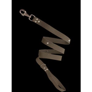 Köpek gezdirme tasması kalın kancalı yeşil kolon metal trok zımbalı uzunluk:120cm genişli:2,5cm dog leash B3-9