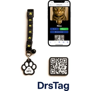 Zilli,akıllı Kedi Tasması