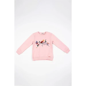 Kız Çocuk Pembe Uzun Kollu Kuş Nakış Detaylı Kışlık Sweatshirt