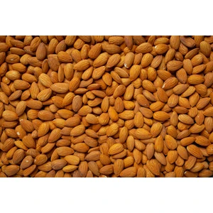 Kayısıcı Baba İslimli Kayısı Çekirdeği 1 kg (Tatlı & Kavrulmamış)