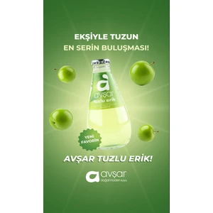 Tuzlu Erik Aromalı Maden Suyu 6 x 200 ml