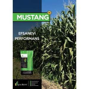 Mustang Silajlık Mısır Tohumu (90 Günlük 50.000 Adet)