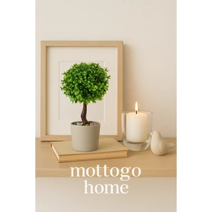 Dekoratif Şimşir Yapay Bitki | Tek Adet