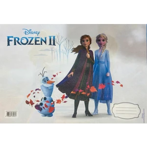 Frozen Beslenme Örtüsü 2'li