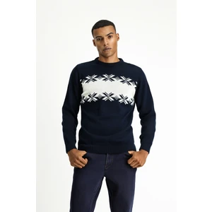 Bisiklet Yaka Regular Fit Desenli Triko Kazak