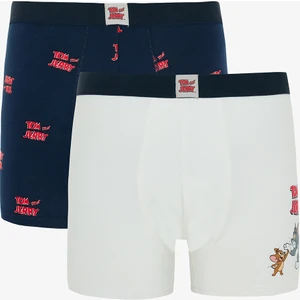 Erkek Pamuklu Jerry 2'li Boxer