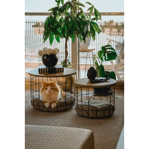Nordik Tarz Kedi Yataklı 2'li Sehpa