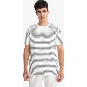 Regular Fit Bisiklet Yaka Çizgili Kısa Kollu Tişört E8198AX25AU