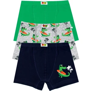 Erkek Çocuk Boxer 3'lü Baskılı (%96 Pamuk - %4 Elastan)