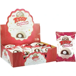 Today Snowball Hindistan Cevizli Kakaolu Kek - 45 gr x 24 Adet, Süt Kremalı Yumuşak Kek, Özel Günler İçin İkramlıklar