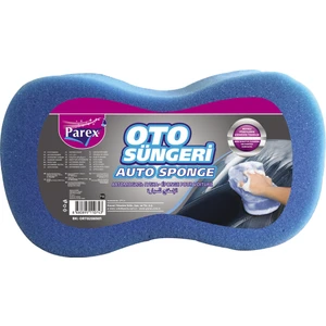 Oto Süngeri