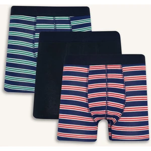 Regular Fit Çizgili 3'lü Boxer E0123AX25AU
