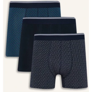 Regular Fit Baskılı 3'lü Boxer D2314AX25AU