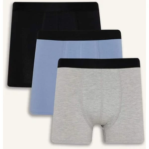 Regular Fit 3'lü Boxer C9531AX25AU