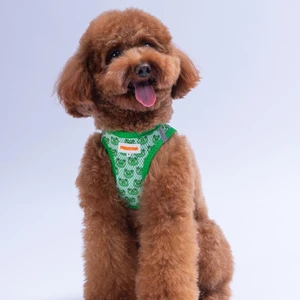 Frog Air-Mesh Göğüs Tasması Kedi Köpek Göğüs Tasması Kurbağa Desenli Köpek Tasması