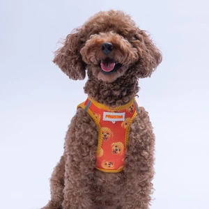 Poodle Air-Mesh Göğüs Tasması Kedi Köpek Göğüs Tasması