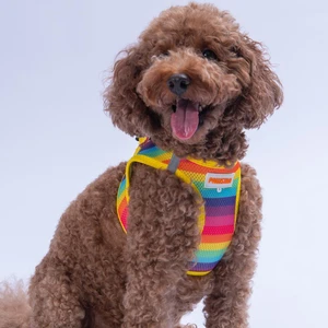 Rainbow Air-Mesh Göğüs Tasması Kedi Köpek Göğüs Tasması Gökkuşağı Desenli Köpek Tasması