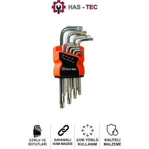 9 Parça Yıldız Alyan Anahtar Seti | Parlak Nikel Kaplama, Profesyonel Torx Anahtarlar, Alyan Set