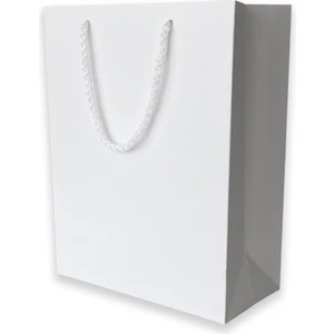 ABB Matbaa 10 Adet Beyaz Karton İpli Çanta (20.5X25.5X10)