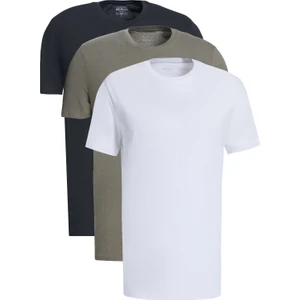 Altınyıldız Classics Slim Fit Bisiklet Yaka 3'lü %100 Pamuk Tişört Paketi