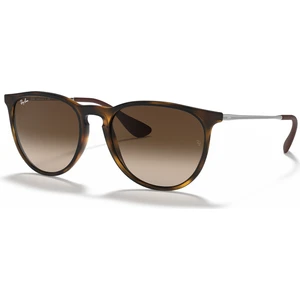 RB 4171 865/13 54 Erika Unisex Güneş Gözlüğü