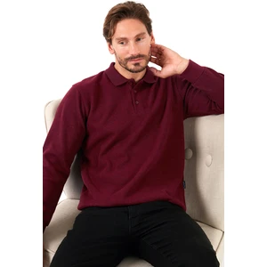 Pamuk Karışımlı Regular Fit Polo Yaka Kazak Erkek Kazak 456223