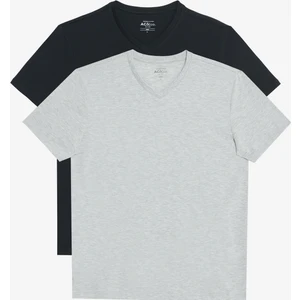 Altınyıldız Classics 2'li Slim Fit Dar Kesim V Yaka %100 Pamuk T-Shirt