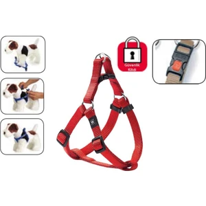 Kilitli Göğüs Tasma M 40-70Cm Kırmızı