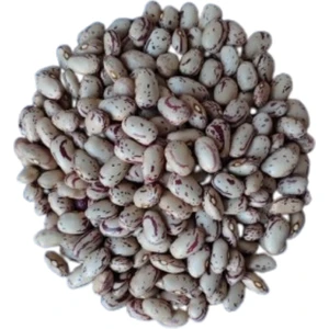 Toros Yayla Barbunya 1 kg