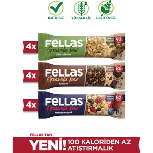 Granola Bar Karma Kutu (4x3 Adet)