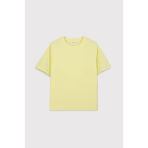 Premium Relaxed  Basic Tshirt