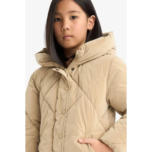 Kız Çocuk Kapüşonlu Fermuarlı Çıtçıtlı Kapitoneli Mont A0839A825AU