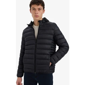 Su İtici Slim Fit Dar Kesim İç Cep Detaylı Kapüşonlu Fermuarlı Cepli Şişme Mont N4661AZ25AU