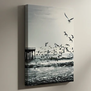 Kıyı Kuşları ve Dalgalar Tablosu