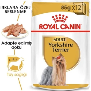 Royal Canin Yorkshire Terrier Adult Pouch Yetişkin Köpekler İçin Konserve 85 Gr