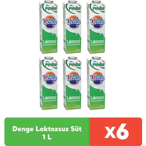 Denge Laktozsuz Süt 1 L x 6 Adet