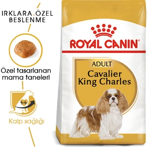 Royal Canin Cavalier King Charles Yetişkin Köpek Maması 1,5 Kg