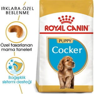 Cocker Yavru Köpek Maması 3kg