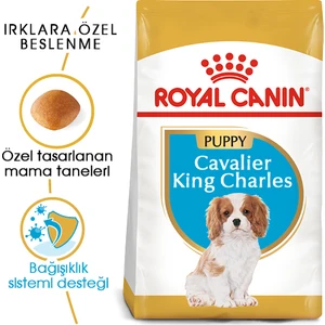 Royal Canin Cavalier King Charles Junior Yavru köpek Maması 1,5 Kg