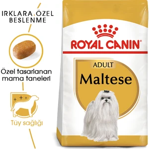 Royal Canin Maltese Bichon Maltais Köpek Maması 1.5 Kg