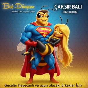 Bal Dünyası Dünyası Çakşır (Sadece Erkekler Için)