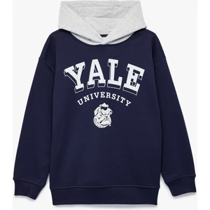 Lisanslı Kapşonlu Uzun Kollu Şardonlu Baskılı Sweatshirt