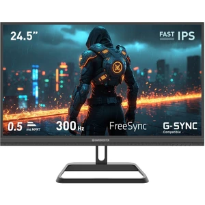 Gamebooster GB-25F320FF 24.5" 300Hz Fast IPS 0.5ms Mprt Fhd 2xhdmı+2xdp Rgb Flat Gaming Monitör
