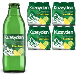 Cool Lime (24 x 200 Ml)