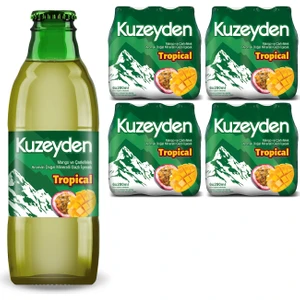 Tropical (24 x 200 Ml)