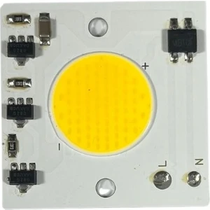 220VOLT 30 Watt Cob LED 30W Projektör Ledi Ray Spot Ledi Gün Işığı