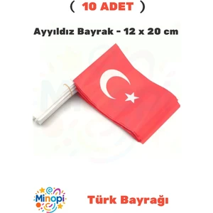 ( 10 Adet ) Vatan Küçük Boy Çıtalı Kağıt Türk Bayrağı Ay Yıldız Bayrak 12 x 20 cm