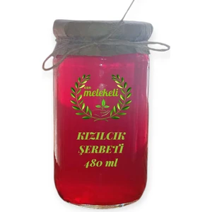 Ev Yapımı Kızılcık Şerbeti 480ML